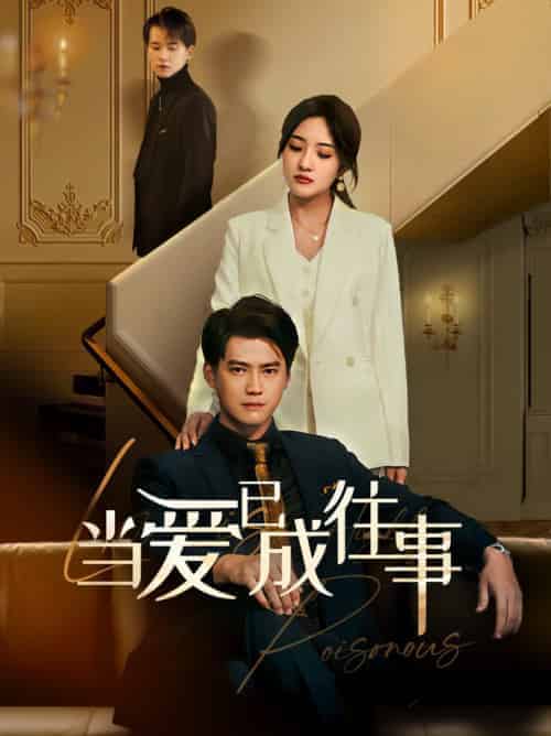 新：当爱已成往事（60集全）-初遇资源网