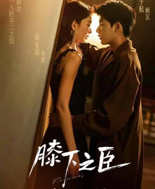 膝下之臣（56集全）赵安第＆吴宇航-初遇资源网