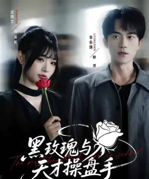 黑玫瑰与天才操盘手（81集全）远雨艾＆李永臻-初遇资源网