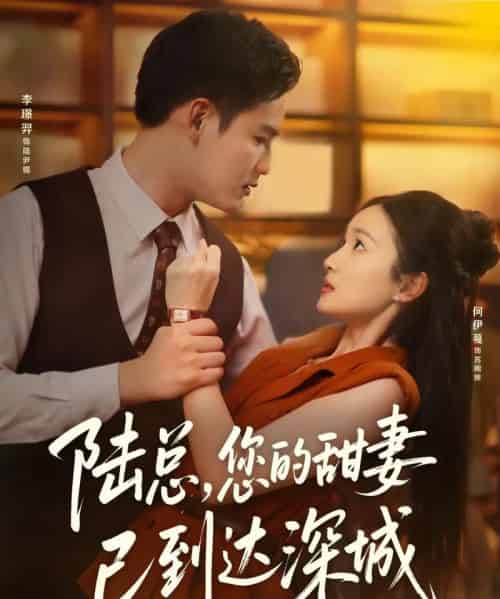 陆总您的甜妻已到达深城(62集)李璟羿&何依蔓-初遇资源网