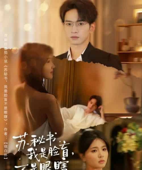 苏秘书，我是脸盲，不是眼瞎（80集全）朱礼仪＆张许焓-初遇资源网