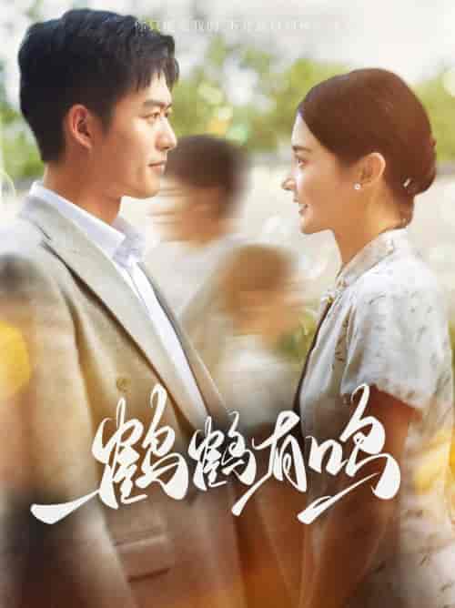 鹤鹤有鸣（87集全）舒童＆觅七-初遇资源网