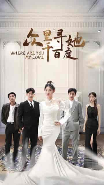 众里寻她千百度（78集）-初遇资源网