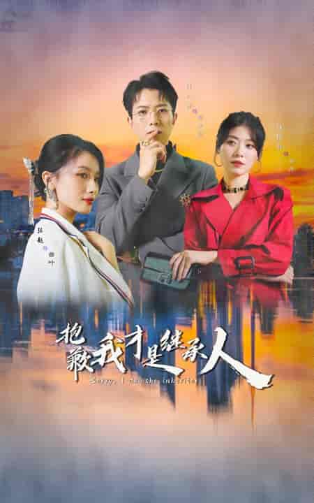 抱歉我才是继承人（31集全）傅汉源＆诸玲颖-初遇资源网
