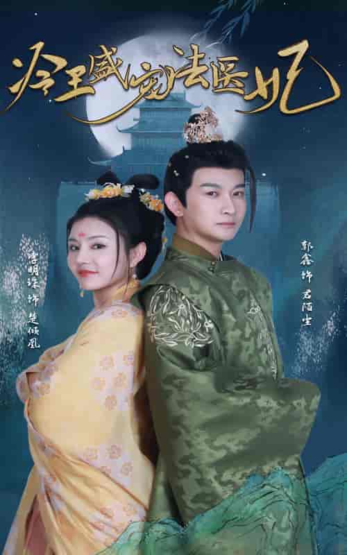 新版:冷王盛宠法医妃(94集)-初遇资源网