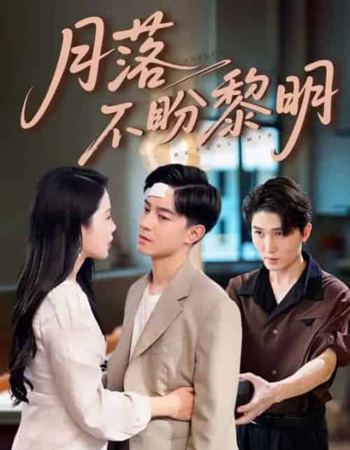 月落不盼黎明(64集全)丁海霞&贺龙天-初遇资源网