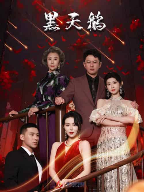 黑天鹅（51集全）孔莹莹-初遇资源网