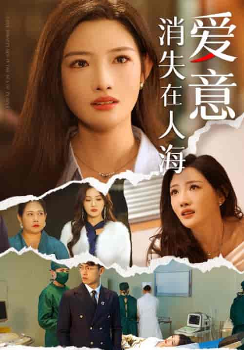 爱意消失在人海（60集全）许晏舟＆林冉-初遇资源网