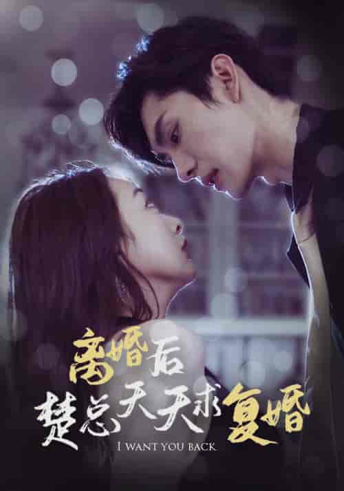离婚后楚总天天求复婚（87集）-初遇资源网