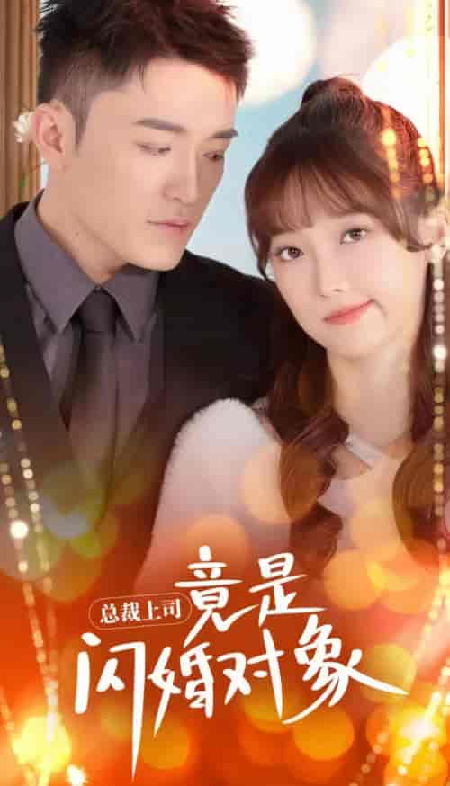 总裁上司竟是闪婚对象(误入婚途)(87集)-初遇资源网