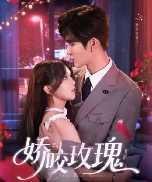 娇咬玫瑰（98集）张东梓＆鹿鸣 - 夸克短剧