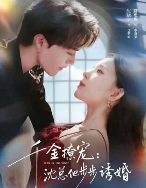 千金撩宠：沈总他步步诱婚（60集全）张晓宇＆顾思思-初遇资源网