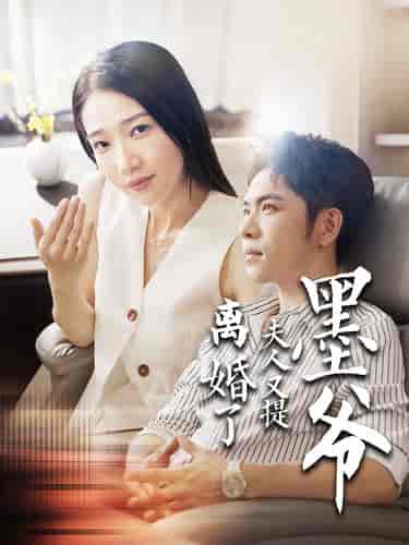 墨爷夫人又提离婚了(110集)张凤仪-初遇资源网