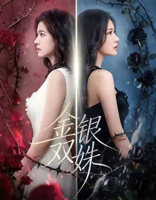 金银双姝（80集全）王艺霏＆徐霄-初遇资源网