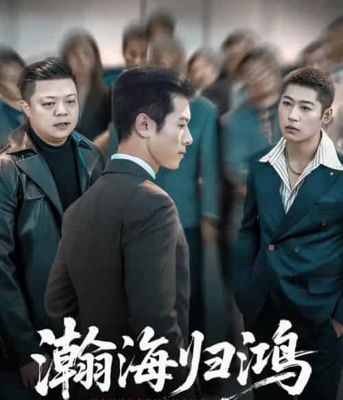 瀚海归鸿（74集全）林思彤＆赖艺-初遇资源网