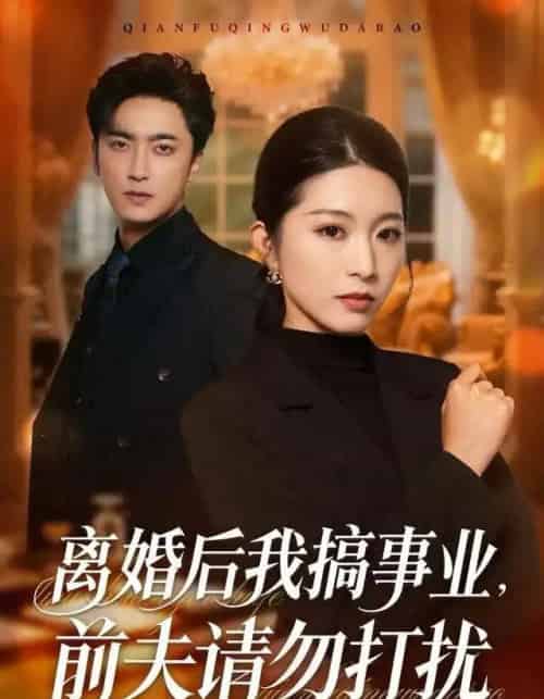 离婚后我搞事业,前夫请勿打扰(49集全)肖琳&白浩&穆晚-初遇资源网
