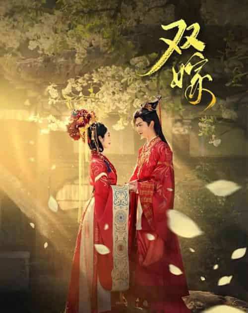 双嫁（60集全）戴琪轩＆张正越-初遇资源网