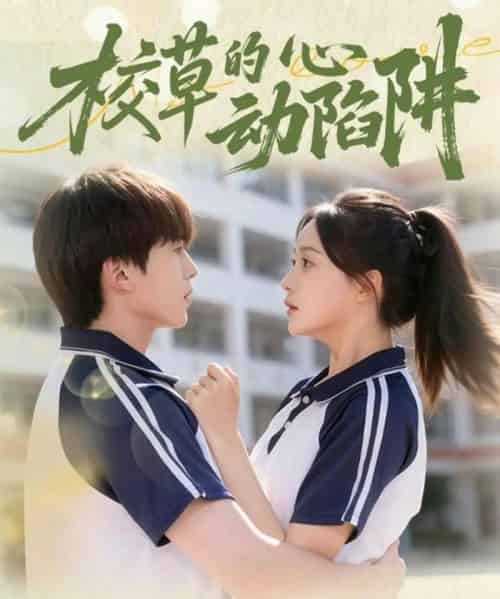 校草的心动陷阱（60集全）许丹＆夏侯懿涵-初遇资源网