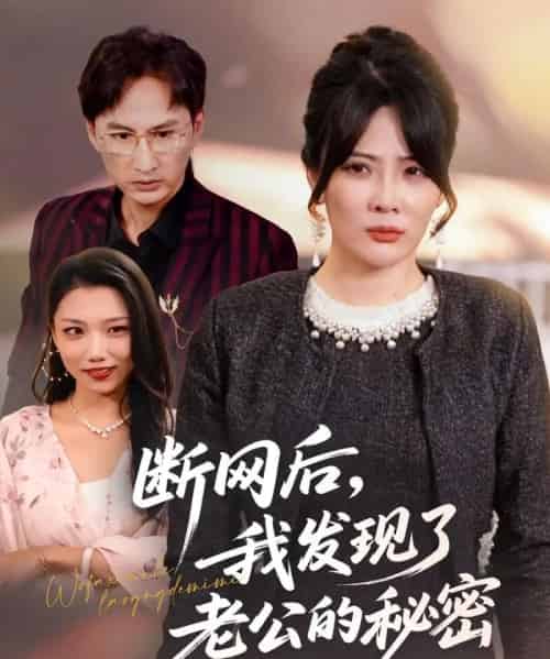 断网后我发现了老公的秘密（57集全）苏月＆英姿-初遇资源网