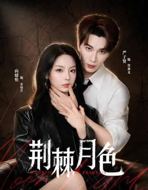 荆棘月色(86集全)严子贤&向婧怡-初遇资源网