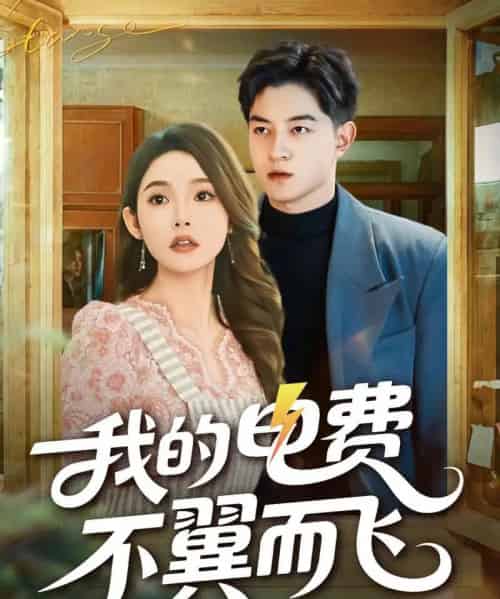 我的电费不翼而飞（60集全）贺龙天＆杨莯-初遇资源网