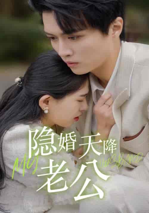 隐婚天降老公（85集全）陆赫霆＆苏贝-初遇资源网