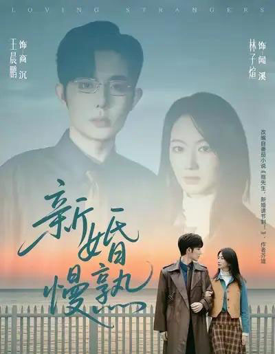 新婚慢熟(105集全)王晨鹏&林子煊-初遇资源网