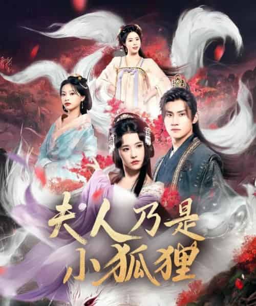 狐狸夫人今天掉马了吗＆夫人乃是小狐狸（62集）车芊云＆陈品延-初遇资源网