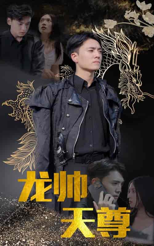 龙帅天尊（95集）-初遇资源网