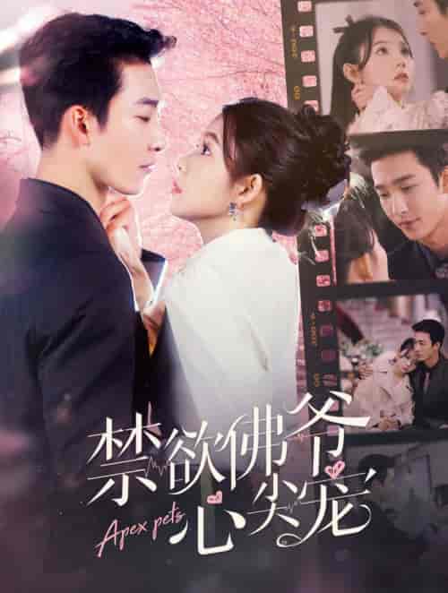 禁欲佛爷心尖宠（101集全）姚冠宇＆林籽蓉-初遇资源网