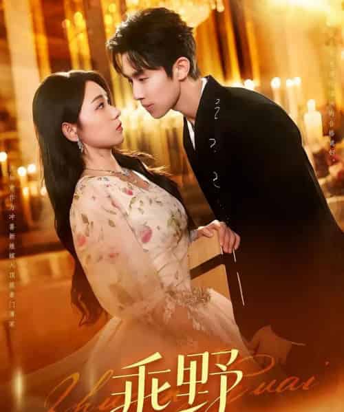 乖野（136集）-初遇资源网