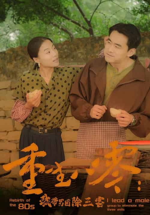 重生八零：我带男团除三害（96集）-初遇资源网