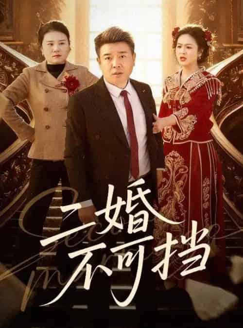 二婚不可挡(36集全)任志宏&杨一-初遇资源网