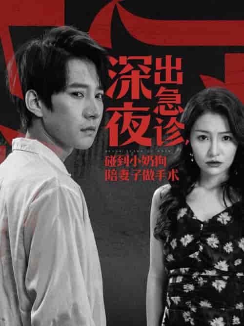 深夜出急诊碰到小奶狗陪妻子做手术(50集全)白羽-初遇资源网