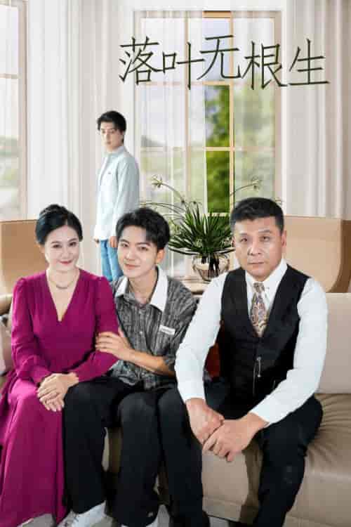 落叶无根生（45集全）-初遇资源网