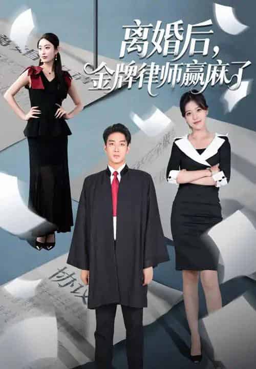 离婚后金牌律师赢麻了（51集）罗东旭＆生馨月-初遇资源网