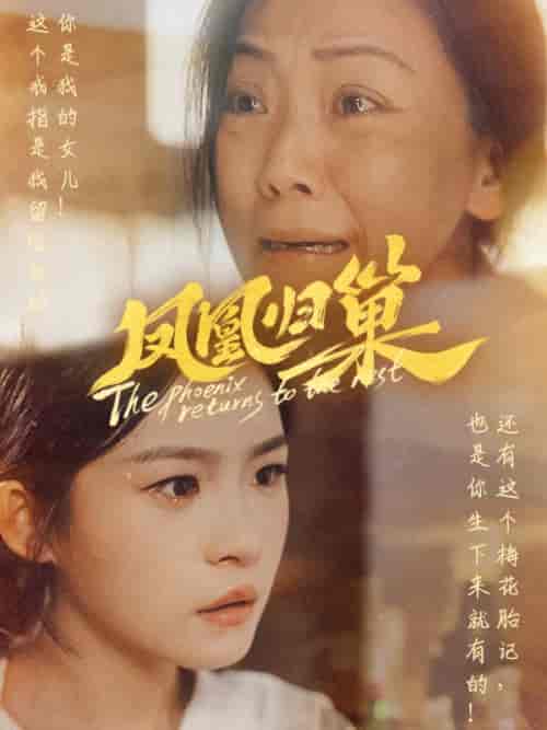 凤凰归巢（69集）-初遇资源网