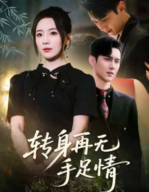 转身再无手足情 转身再无手足情