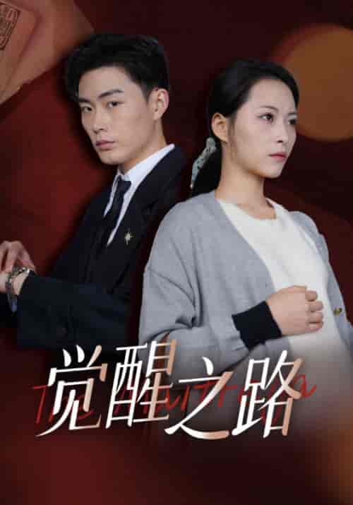 觉醒之路（33集全）颜良＆谭花-初遇资源网