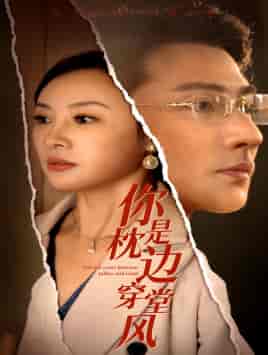 你是枕边穿堂风（78集）-初遇资源网