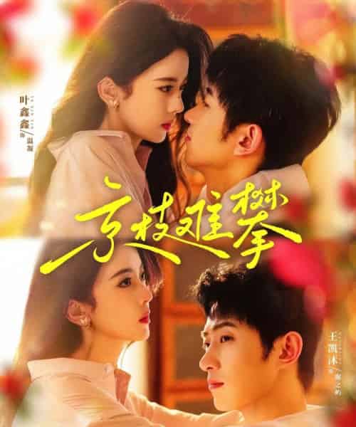 京枝难攀（80集）王凯沐＆六金yE（叶鑫鑫）-初遇资源网