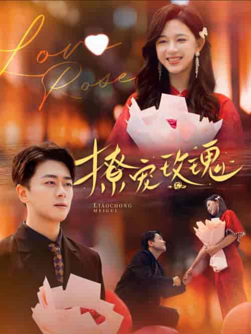 撩宠玫瑰（99集全）韩录锦-初遇资源网