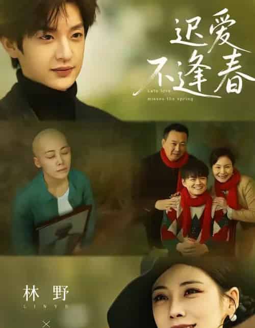 迟爱不逢春（62集全）魏澊＆钟小淇-初遇资源网