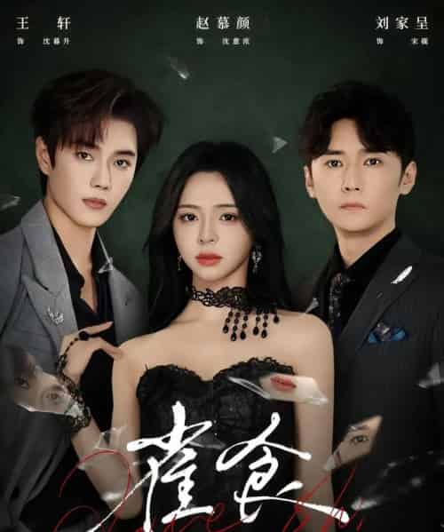 雀食(83集全)王轩&赵慕颜&刘家呈-初遇资源网