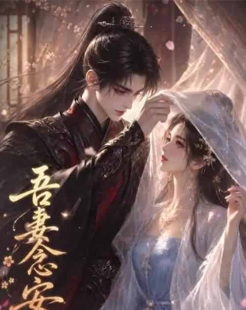 吾妻念安（24集全）动漫 - 夸克短剧