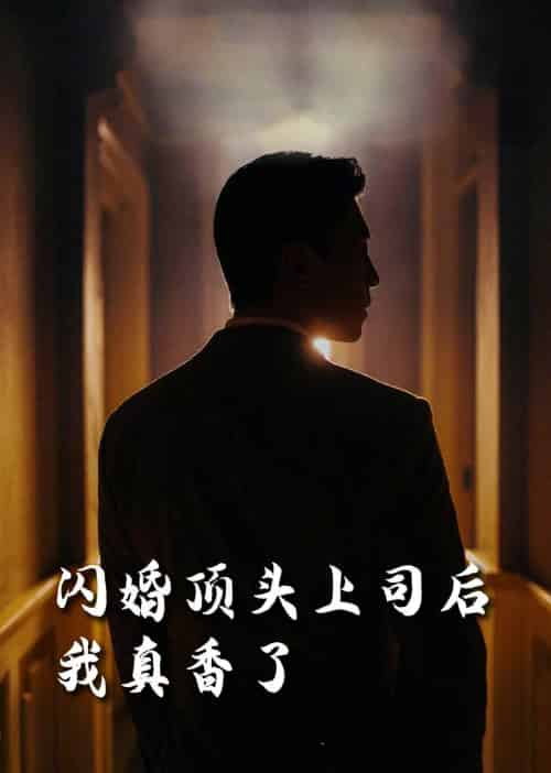 闪婚顶头上司后我真香了（80集全）潘悦铭＆刘星辰＆攒攒＆袁颖-初遇资源网