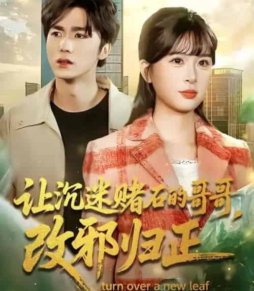 让沉迷赌石的哥哥,改邪归正(50集全)陈哲&李慕瑶-初遇资源网