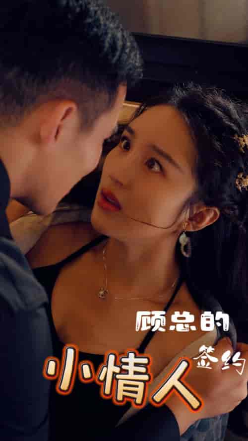 顾总的签约小情人（80集）-初遇资源网