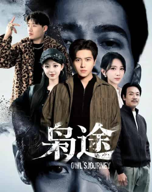 枭途＆龙抬头1：莫欺少年穷（100集全）姜腾＆高明君-初遇资源网