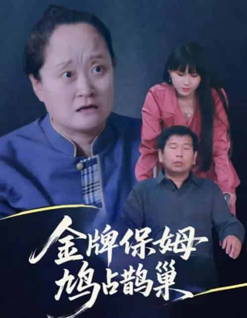 寄生虫保姆＆金牌保姆鸠占鹊巢（64集全）刘广平＆仇艳勤-初遇资源网